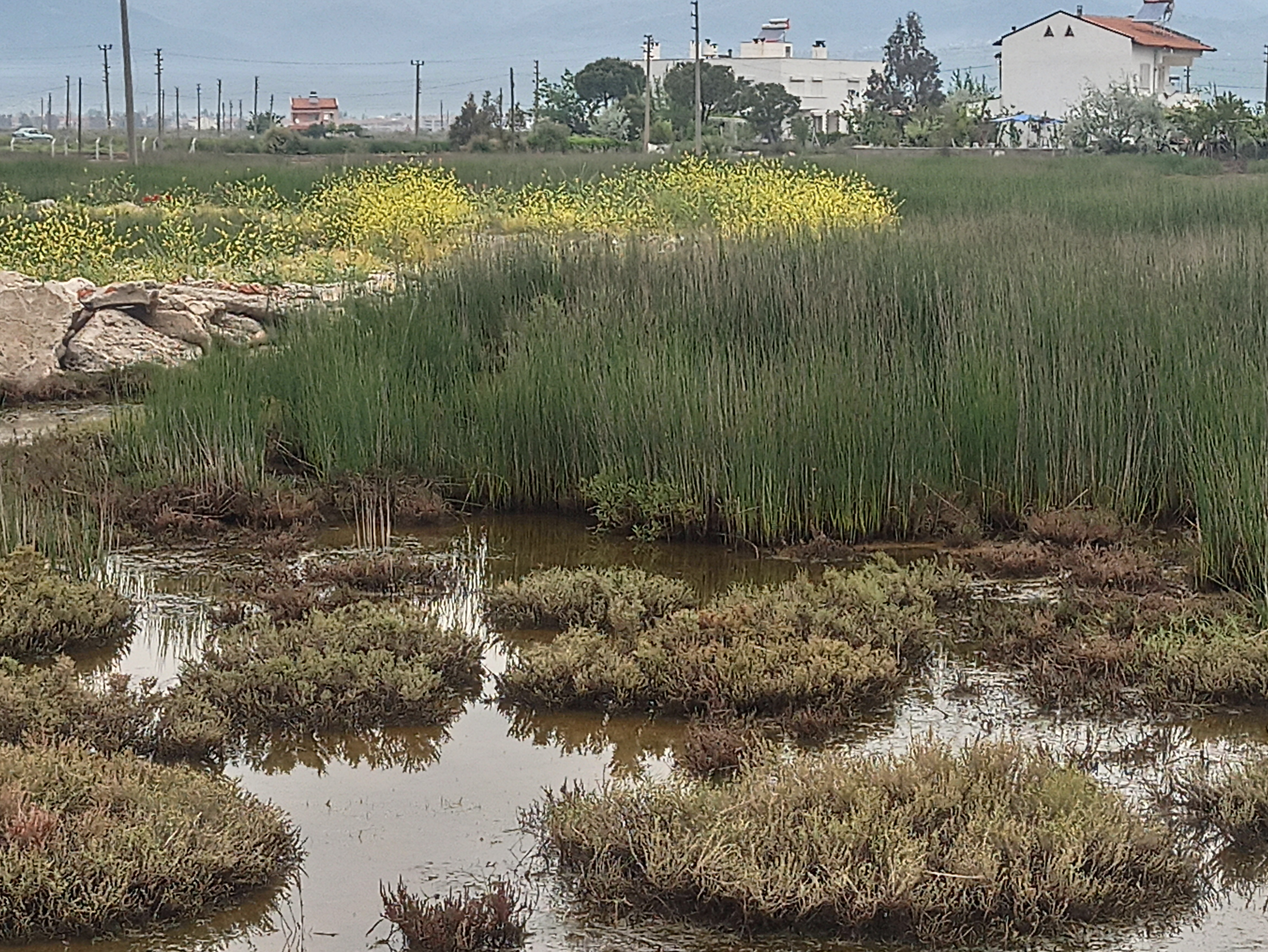 sulak alan haritası